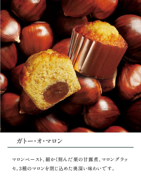 ブールミッシュ BOULMICH お歳暮 クリスマス ギフト スイーツ お菓子 プレゼント 人気 贈り物 高級 菓子折り お取り寄せ 詰め合わせ 内祝 誕生日 お返し お祝い ギフトセット16個入 手提袋なし