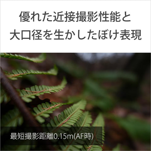索尼 广角定焦镜头 全尺寸 FE 16mm F1.8 G G镜头 数码单反相机α[E卡口]用 原装镜头 SEL16F18G