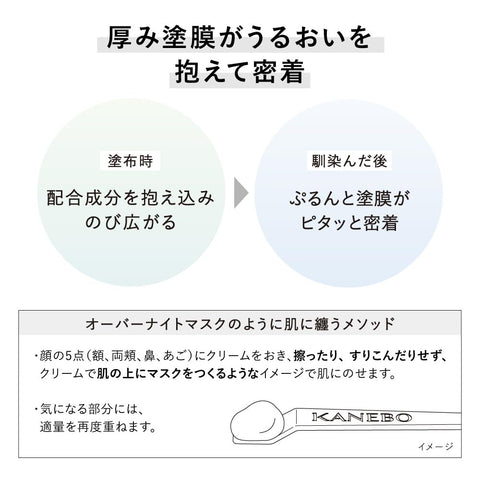 KANEBO(カネボウ) クリーム イン ナイトⅡ 夜用クリーム 50g 医薬部外品 ナイアシンアミド 乾燥 保湿 ハリ シワ シミ プレゼントに ギフトに