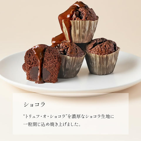 BOULMICH BOULMICH 迷你松露蛋糕 (16個裝(當天發貨)) 禮物 禮物 人氣 訂購 甜點 混裝 家庭慶祝 生日回禮 年終 年終 年終