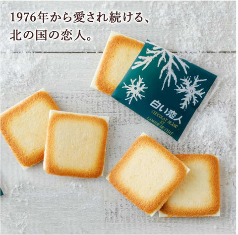 【北海道限定】 白い 恋人 (ホワイト＆ブラック) 36枚缶入り ＆ 柳 月 あんバタサン 特製缶 12個入 2個セット お土産