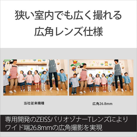 SONY(ソニー) 4K ビデオカメラ Handycam FDR-AX45A(2022年モデル) ブロンズブラウン 内蔵メモリー64GB 光学ズーム20倍 空間光学手ブレ補正 FDR-AX45A TI