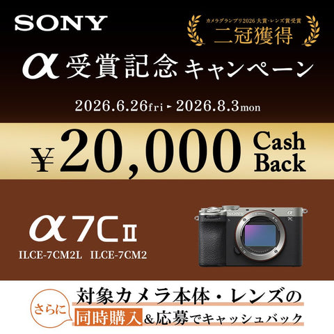 SONY(索尼) 全尺寸 无反相机 α7CII 变焦镜头套装(同包装镜头:SEL2860) 银色 ILCE-7CM2L S