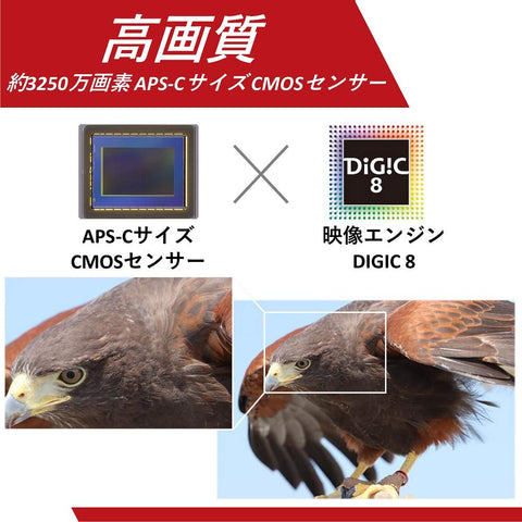 Canon 佳能 数码单反相机 EOS 90D 机身 EOS90D