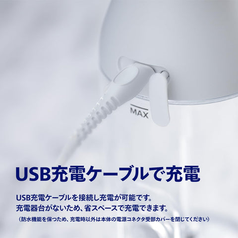 Philips Sonicare 無線電動牙線 3000 口腔沖洗器（X 型水流噴射清洗器）HX3826/21 白色