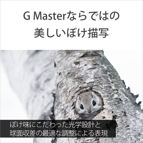 SONY(ソニー) 望遠ズームレンズ フルサイズ FE 100-400mm F4.5-5.6 GM OSS G Master デジタル一眼カメラα[Eマウント]用 純正レンズ SEL100400GM