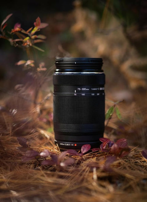 OM SYSTEM/奥林巴斯 M.ZUIKO DIGITAL ED 75-300mm F4.8-6.7 Ⅱ