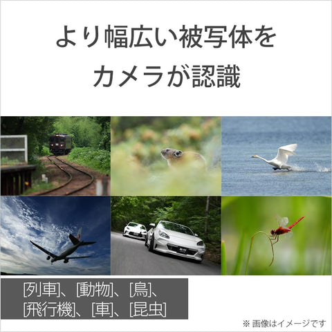 SONY(ソニー) ILME-FX2B フルサイズカメラ レンズ交換式 Cinema Line カメラ プロフェッショナルカムコーダー 動画 FX2ボディ(レンズなし)
