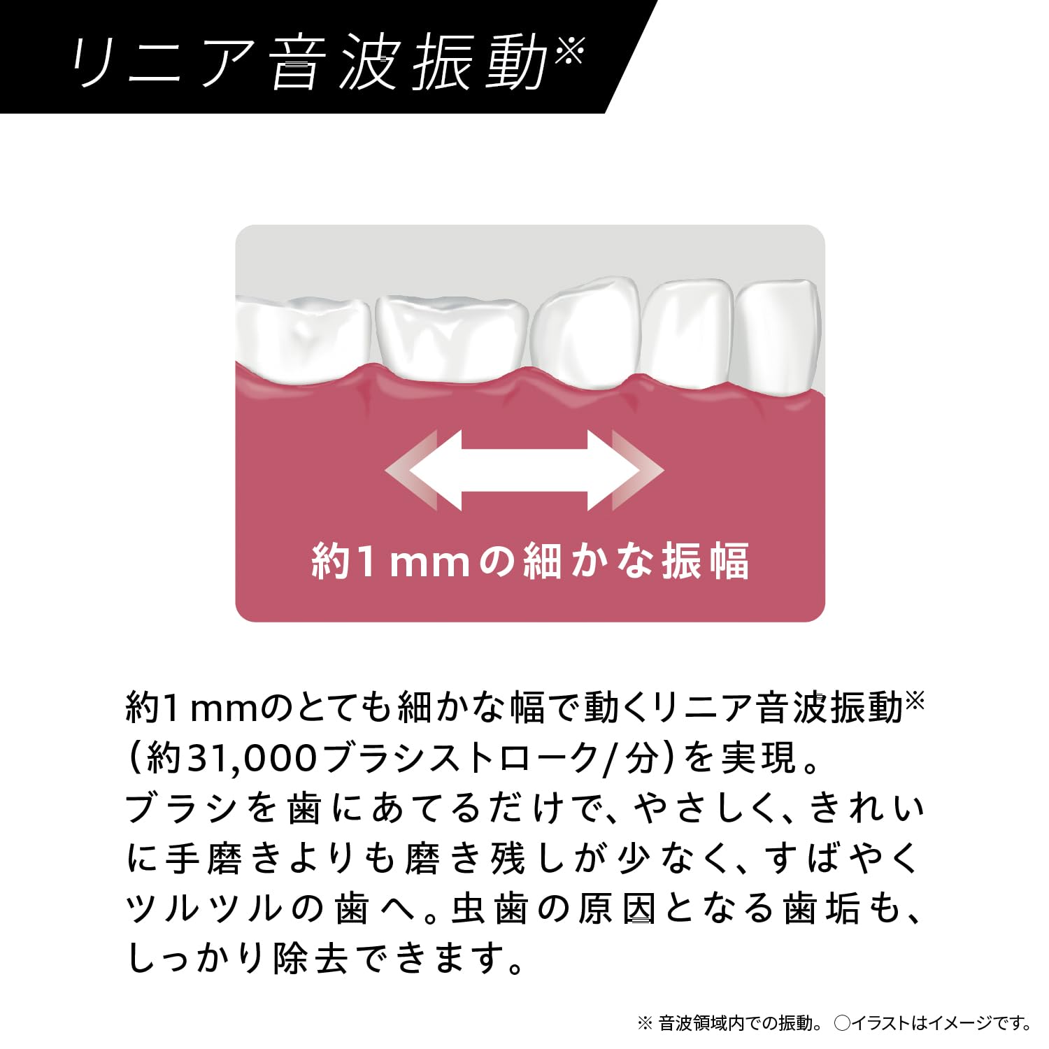 パナソニック 音波振動ハブラシ ドルツ 電動歯ブラシ USB充電 EW-DA18