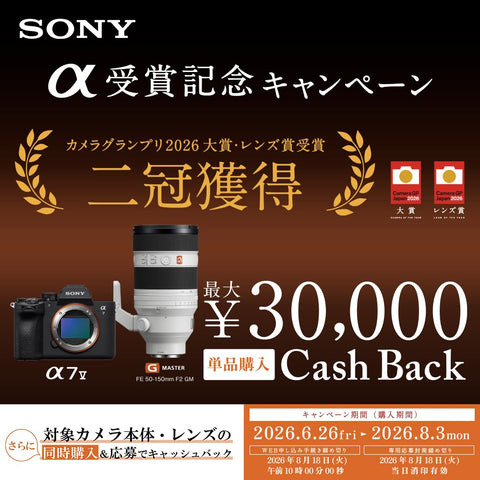 SONY(ソニー) 標準ズームレンズ APS-C E 16-55mm F2.8 G Gレンズ デジタル一眼カメラα[Eマウント]用 純正レンズ SEL1655G