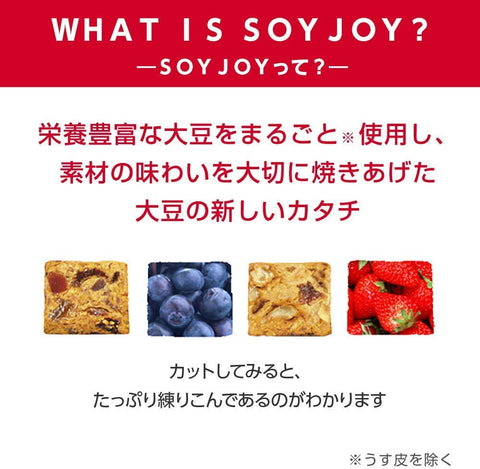 ソイジョイ 大塚製薬 ソイジョイ フルーツセット (ブルーベリー/ストロベリー/アップル/レーズン) 30g ×48個【セット商品】