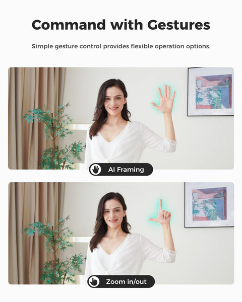 OBSBOT MEET SE 1080P 100FPS FHD Webカメラ ウェブカメラ AI搭載 1/2.8 CMOS HDR 位相差検出AF フィルター加工 ノイズ低減マイク ライブ配信 ビデオ通話 PC Mac Windows (スペース・グレー)