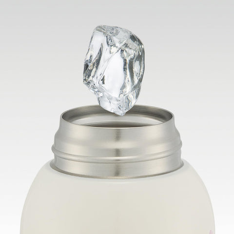 스케이터 (스케이터), 어린이용 스테인리스 스틸 물병, 직접 마실 수 있는, 600ml, 어린이용, 경량 타입, 디즈니 프린세스, 25명의 여아용, 단열 물병, 스포츠 보틀, 어린이용 물병, STCH6-A