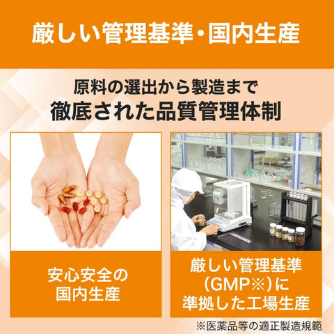 DHC 【120日分セット】葉酸 30日分 (30粒)×4個セット