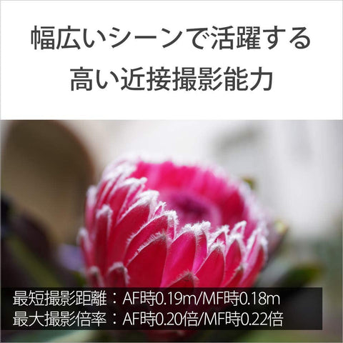 ソニー / 広角単焦点レンズ / フルサイズ / FE 20mm F1.8 G / Gレンズ / デジタル一眼カメラα[Eマウント]用レンズ / SEL20F18G