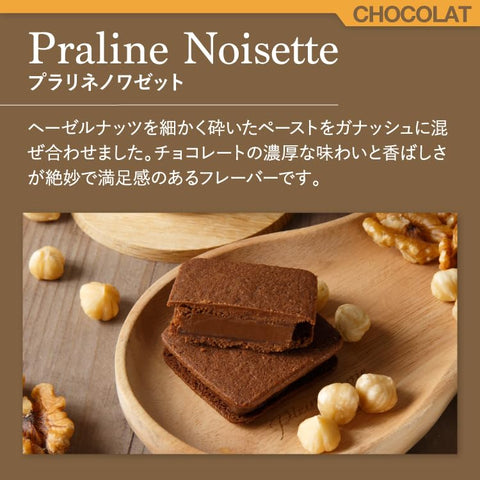 VANILLABEANS (바닐라빈) 쇼콜라 코코아 바움 박스 세트/초콜릿 선물 캔디 발렌타인데이 발렌타인데이 (개별 포장 핸드백 포함) 모듬 선물 기념품 리워드 과자 초콜릿 샌드바움쿠헨