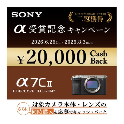 SONY(索尼) 全尺寸 无反相机 α7CII 机身(无镜头) 银色 ILCE-7CM2 S