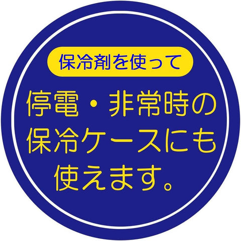 Skater 斯凱達 出遊 便當盒 附冷藏袋 史努比 野餐 日本製 2240毫升 KCPC2