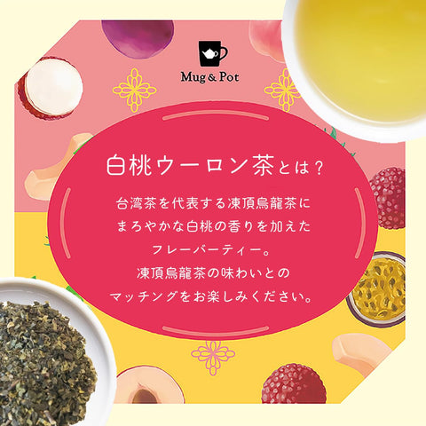Mug&Pot 白桃乌龙茶 6p 12g ×3个 茶包