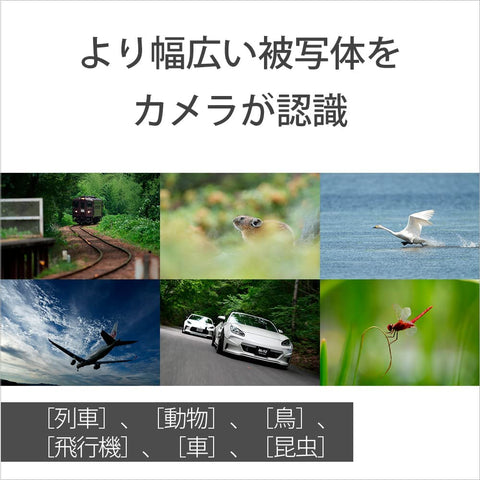 소니/브이로그 카메라/렌즈 교환식 브이로그캠/풀사이즈/미러리스 SLR 카메라/ZV-E1/바디 (렌즈 없음) /윈드스크린 포함/화이트/ZV-E1 W