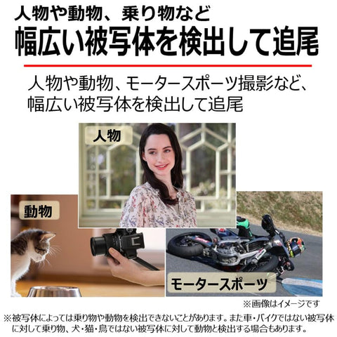 Canon ミラーレス一眼カメラ EOS R10 レンズキット(RF-S18-45)ブラック/APS-C/EOSR10-1845ISSTMLK