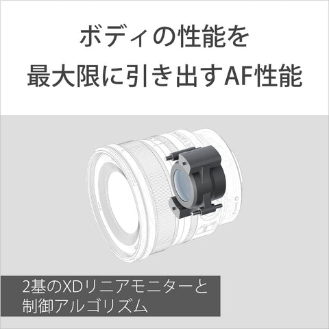 Sony 廣角定焦鏡頭 全尺寸 FE 16mm F1.8 G G鏡頭 數位單眼相機α[E卡口]使用 原廠鏡頭 SEL16F18G