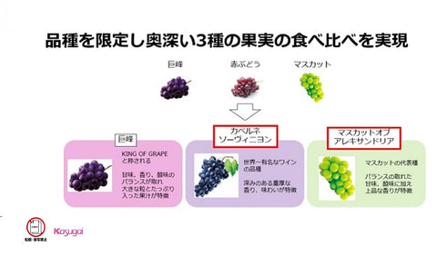 春日井制菓 颗粒软糖 PREMIUM浓厚葡萄 75克×10袋