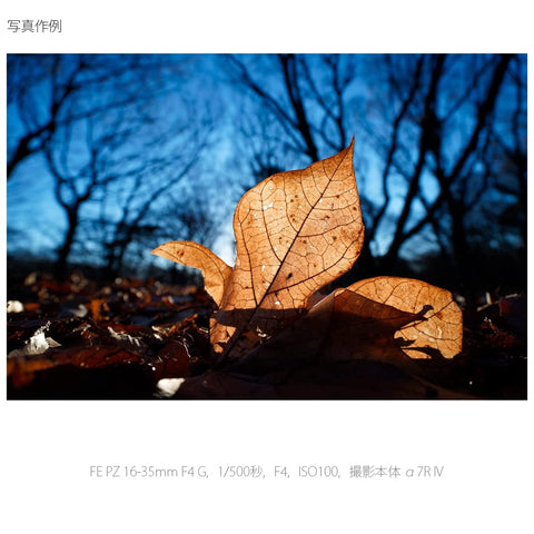 SONY(ソニー) 広角ズームレンズ フルサイズ FE PZ 16-35mm F4 G Gレンズ デジタル一眼カメラα[Eマウント]用 純正レンズ SELP1635G