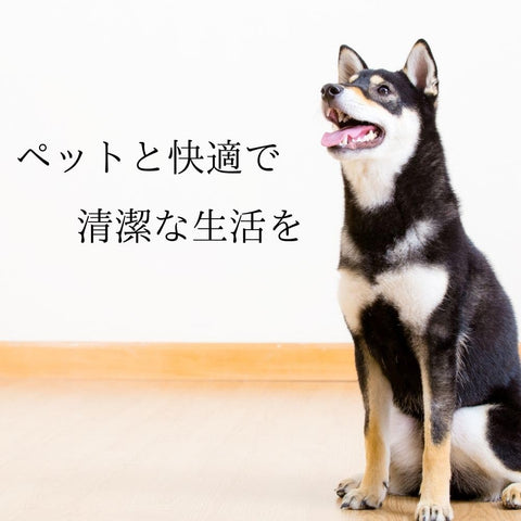 JOYPET 天然除臭劑，用於去除尿液氣味和污漬，補充裝，大包裝，450毫升
