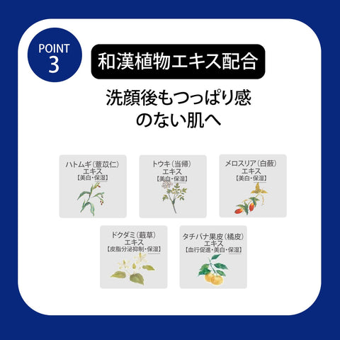 雪肌精 洁面 精华 肥皂 主体 120g 洁面皂 毛孔 和汉美容皂 暗沉 粉刺 黑色