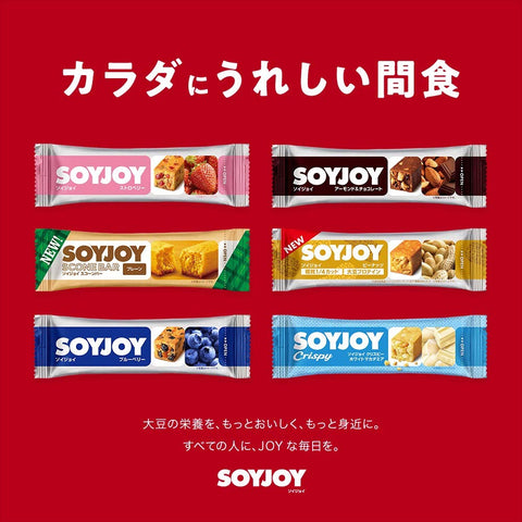 소이조이 오츠카 제약 소이조이 과일 세트 (블루베리/딸기/사과/건포도) 30g x 48 [세트 상품]