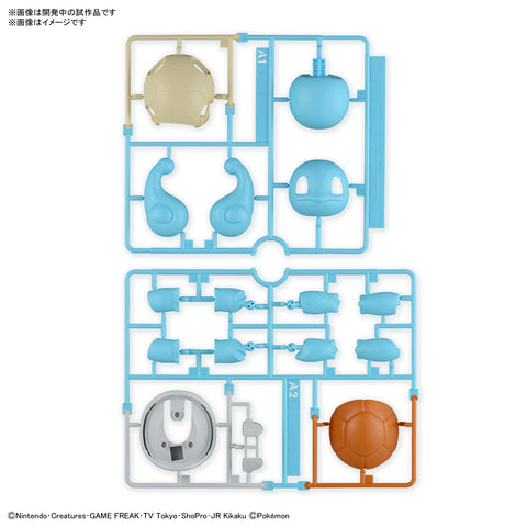 Pokemon Pokemon Plamo Collection 快裝!!17 Zenigame 已分色塑膠模型