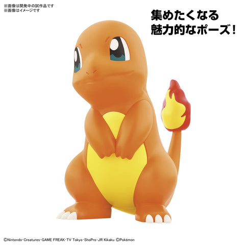 BANDAI SPIRITS 万代 Spirits口袋妖怪 Plamo Collection 快速!!11 人蜥蜴 已分色塑料模型