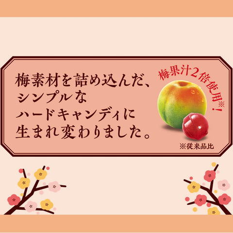 ロッテ 小梅(袋) 60g×6個 【2024公式】