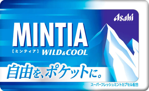 Asahi Group Food Mintia Wild & Cool 50 Tablets x 10 Packs