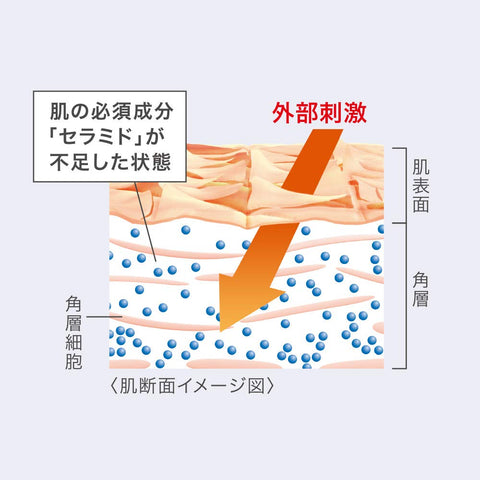 珂润 润浸保湿 面霜 70克【面霜】