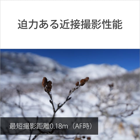 SONY(ソニー) 広角ズームレンズ フルサイズ FE 16-25 mm F2.8 G Gレンズ デジタル一眼カメラα[Eマウント]用 純正レンズ SEL1625G