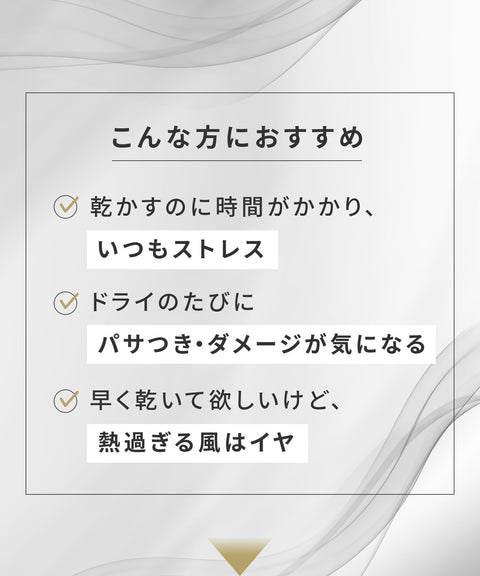 SALONIA サロニア スピーディーイオン ドライヤー 大風量 速乾 軽量 マイナスイオン ヘアドライヤー SL-013ABE ベージュ