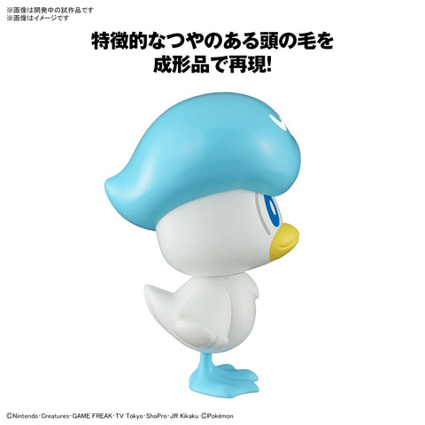 Pokemon Pokemon Plamo Collection 快裝!!19 Kuwas 已分色塑膠模型