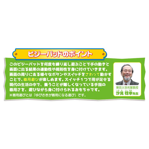 ディズニー さわって知育 ビジーパッド ディズニーキャラクターズ