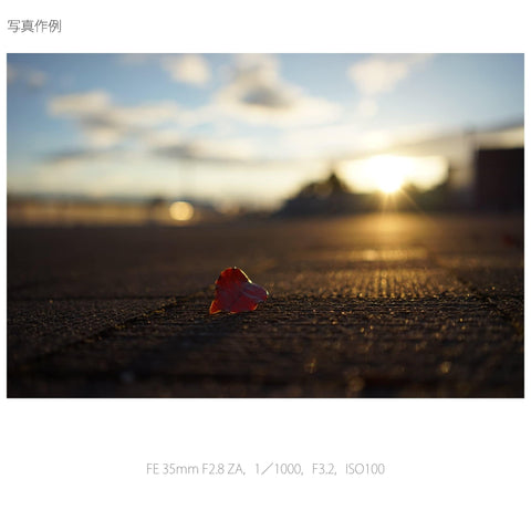 SONY 索尼 定焦镜头 Sonnar T* FE 35 毫米 F2.8 ZA E卡口 35 毫米适应全尺寸 SEL35F28Z