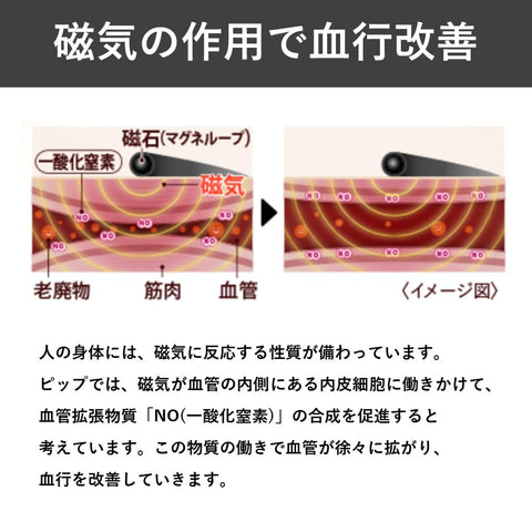 Pip Magnel Pip Magnel Pip Magnel Plus 200毫米特斯拉 50公分 肩部僵硬 頸部僵硬 磁性項鍊