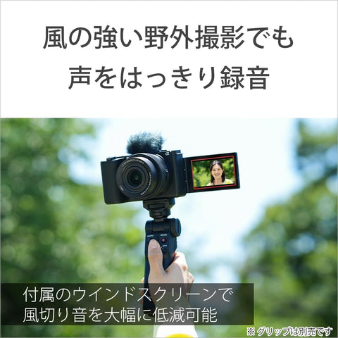 SONY(索尼) Vlog用相机 镜头交换式VLOGCAM APS-C 无反相机 ZV-E10M2 机身(无镜头) 附带窗屏 黑色 ZV-E10M2 BQ