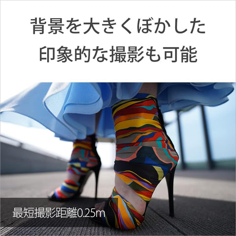 SONY(索尼) 广角定焦镜头 全尺寸 FE 14mm F1.8 GM G Master 数码单反相机α[E卡口]用 原装镜头 SEL14F18GM