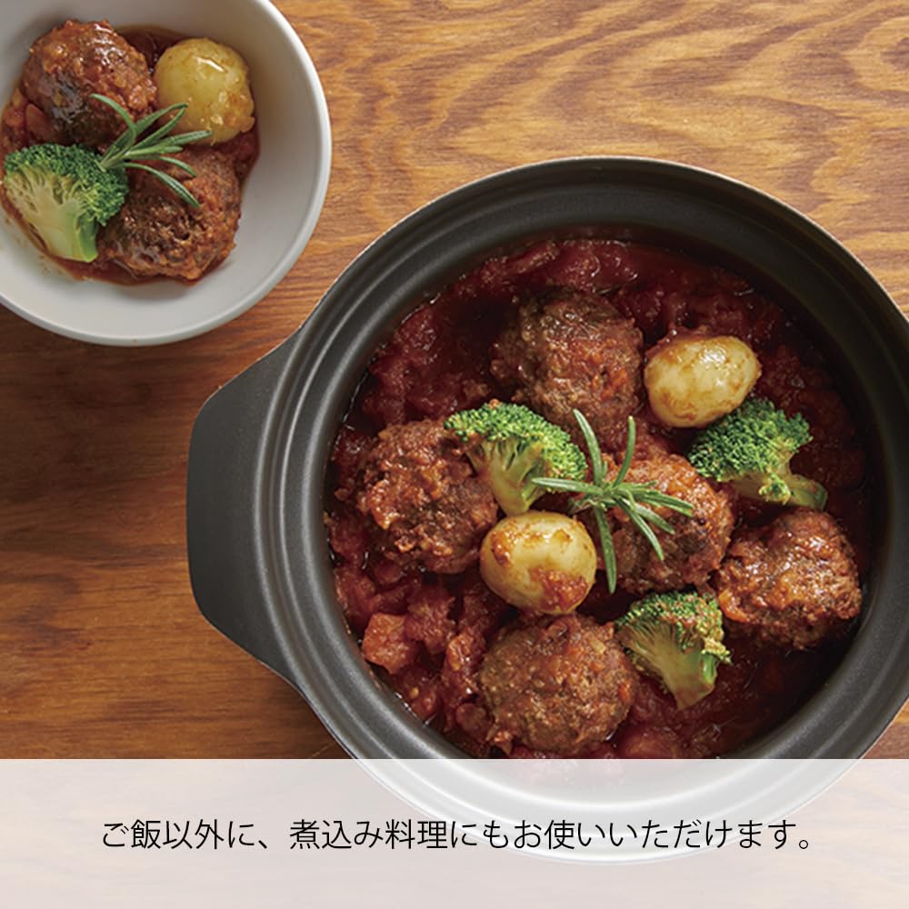 HARIO(ハリオ) ご飯釜 雪平 IH対応 1~3合用 シルバー 雪平 プレゼント