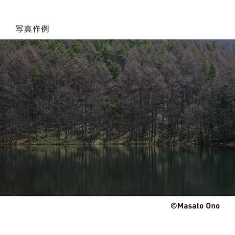 シグマ(Sigma) レンズ 24-70mm F2.8 DG DN II Sony ソニー Eマウント ズーム 標準 フルサイズ ミラーレス用 Art