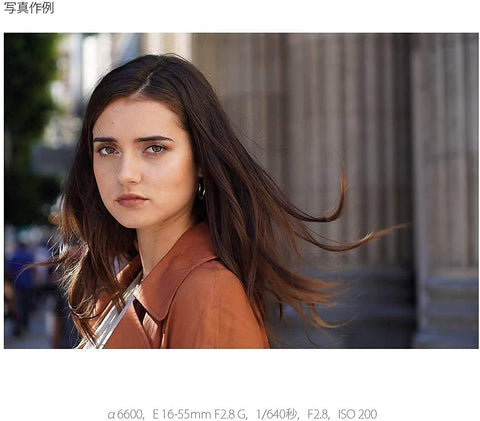 SONY(ソニー) 標準ズームレンズ APS-C E 16-55mm F2.8 G Gレンズ デジタル一眼カメラα[Eマウント]用 純正レンズ SEL1655G