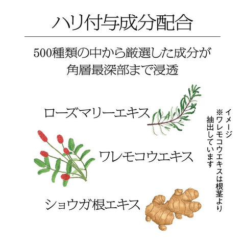 Sofina iP (アイピー) Sofina iP Elasticity Injection Beauty Serum