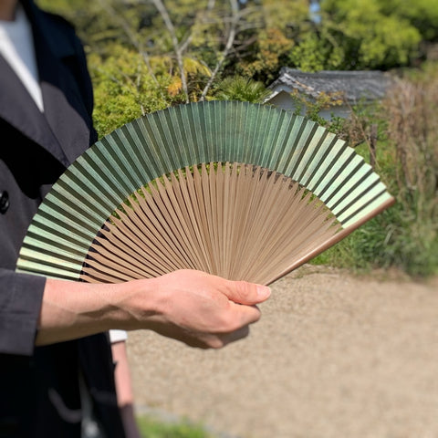 Kokyo Folding Smoked # 2 Low Detenditure