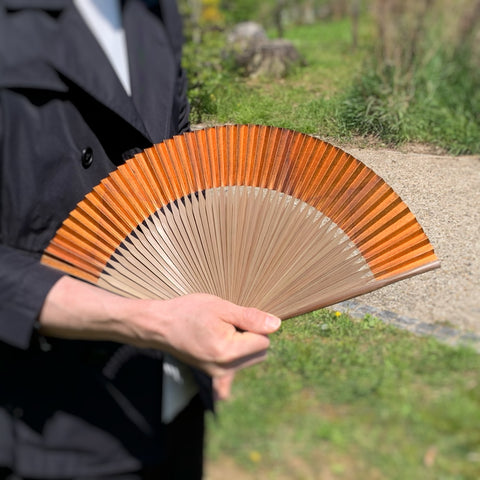 Kokyo Folding Smoked # 3 Low Approximately